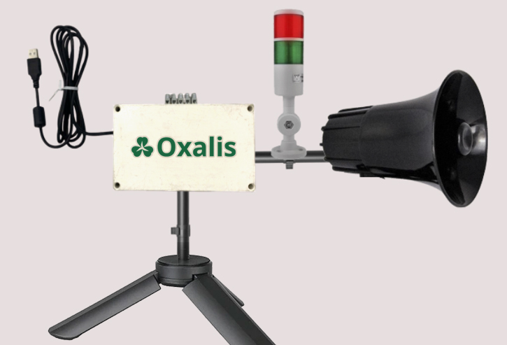 Real-Time Analysis Dashboard